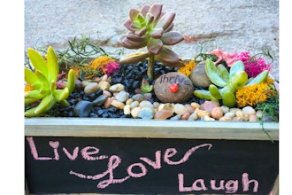 Plant Nite: Chalkboard Wood Terrarium